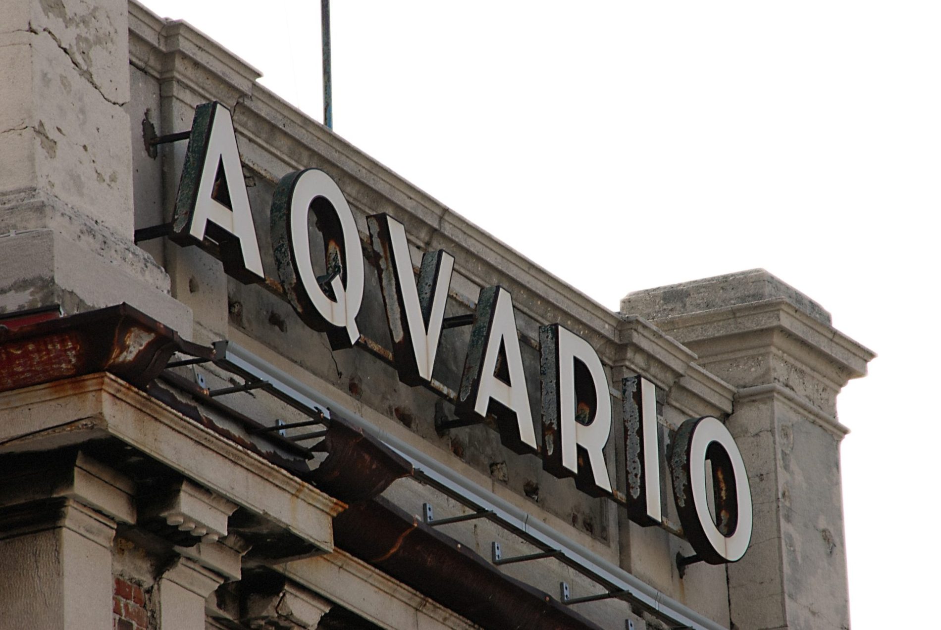 Aquario-Marino-Trieste-Maurizio-Valdemarin-promoTurismoFVG