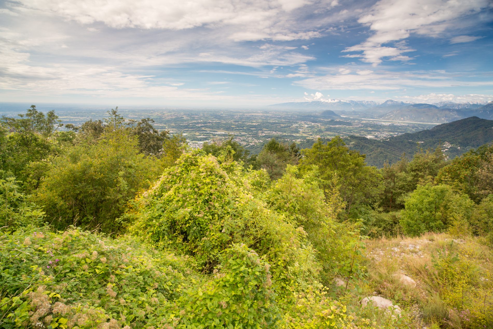 Batteria-del-Monte-Pocivalo-PromoTurismoFVG