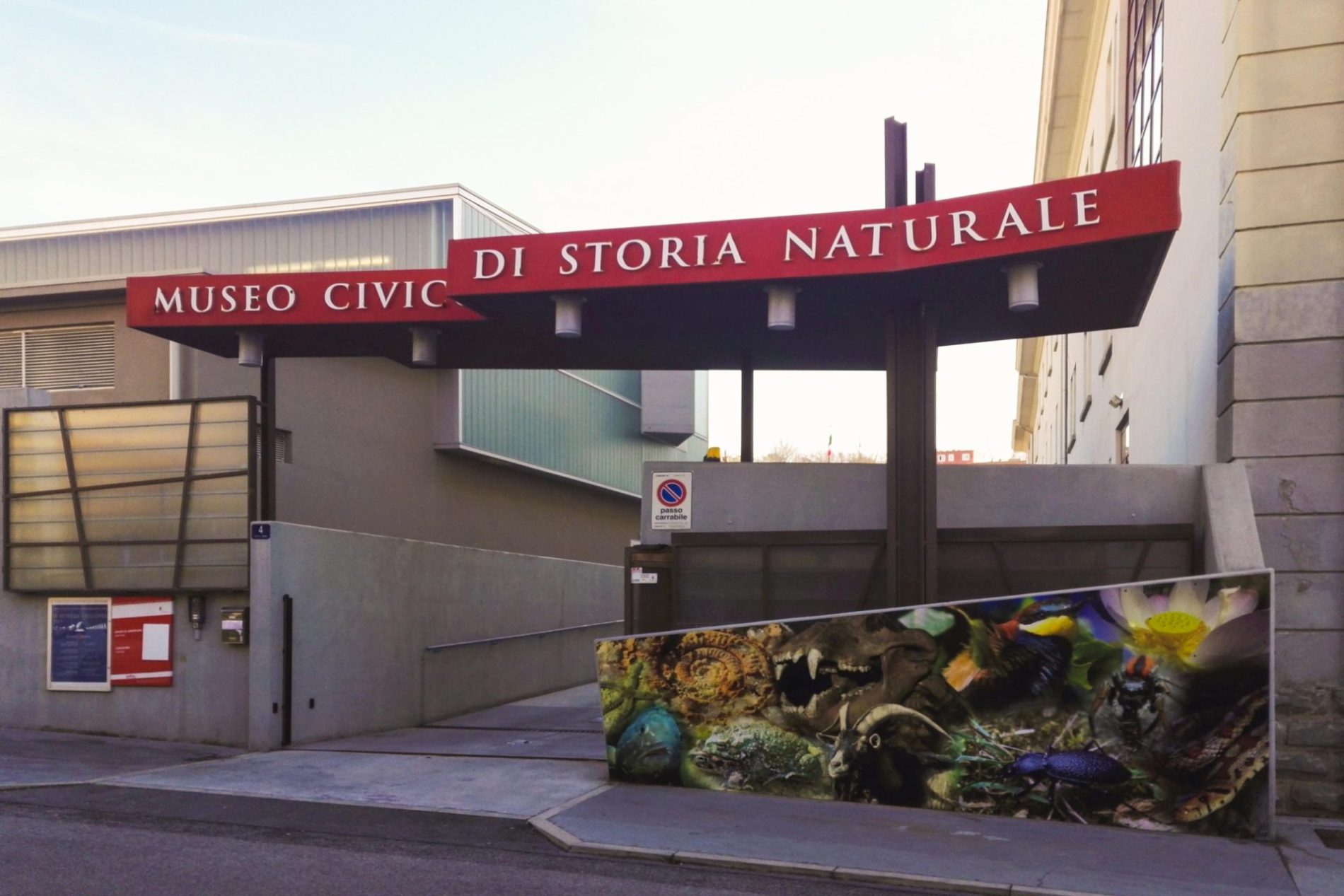 Museo-Civico-di-Storia-Naturale-Trieste-Archivio-del-Museo1