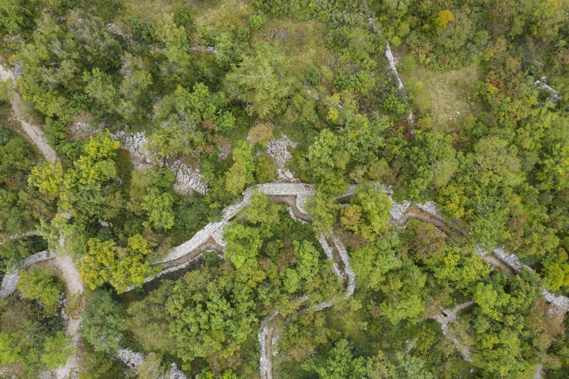 Parco-Lupinc-Škaljunk-Manuela-Schirra-Fabrizio-Giraldi-PromoTurismoFVG(1)