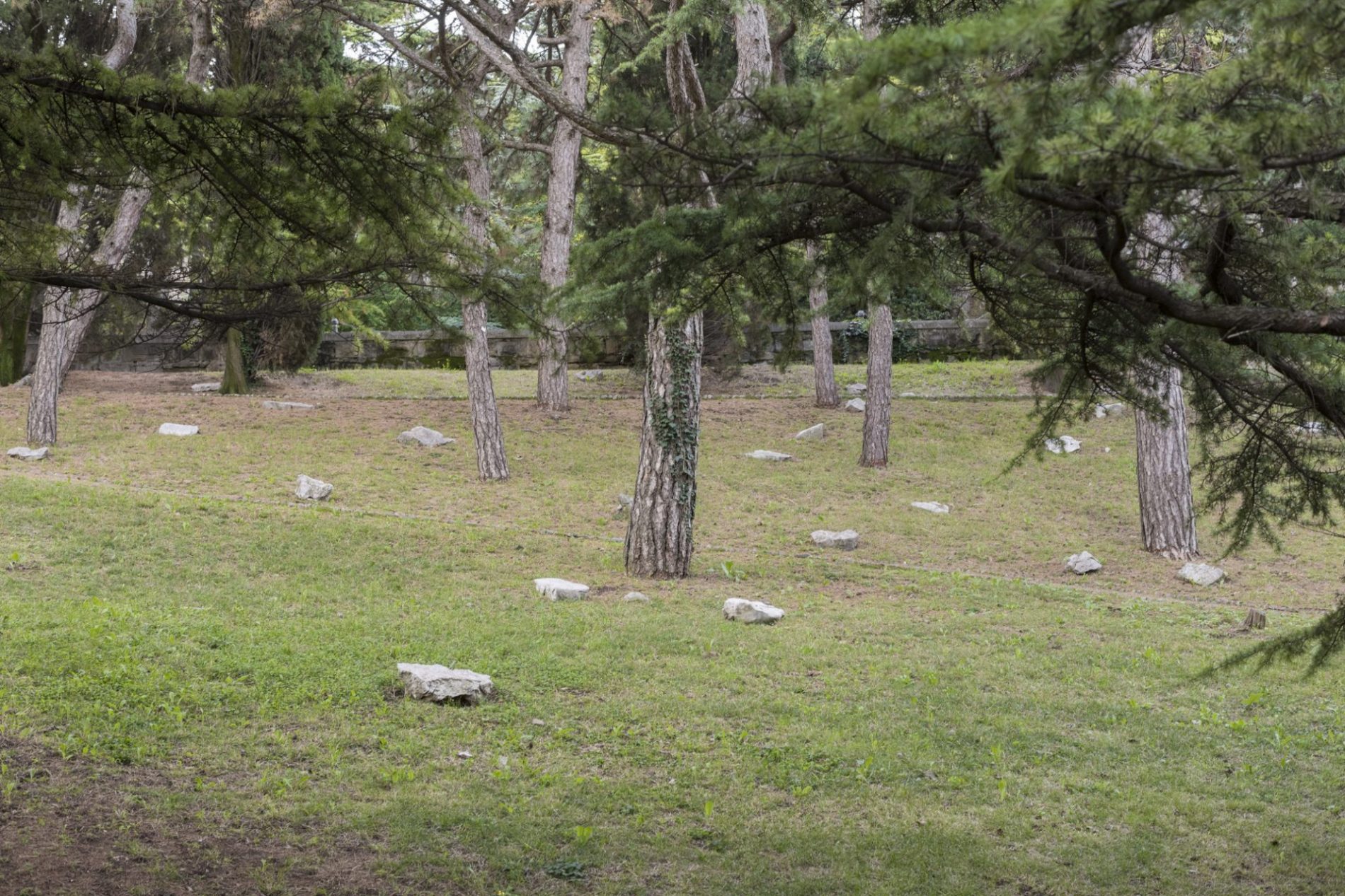 Parco-della-Rimembranza-Colle-di-San-Giusto-Manuela-Schirra-Fabrizio-Giraldi-FVG(3)