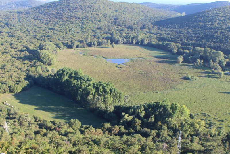 Riserva-naturale-dei-laghi-di-Doberdò-e-Pietrarossa-Tina-Klanjscek-PromoTurismoFVG