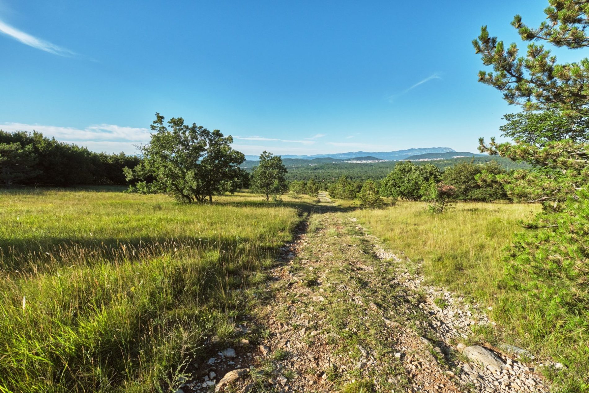 Riserva-Naturale-del-Monte-Lanaro-Archivio-PromoTurismoFVG