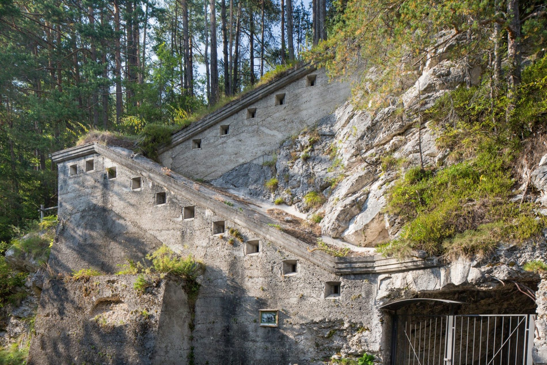 Val-Dogna-Linea-dei-Plans-Paolo-da-Pozzo-PromoTurismoFVG(4)