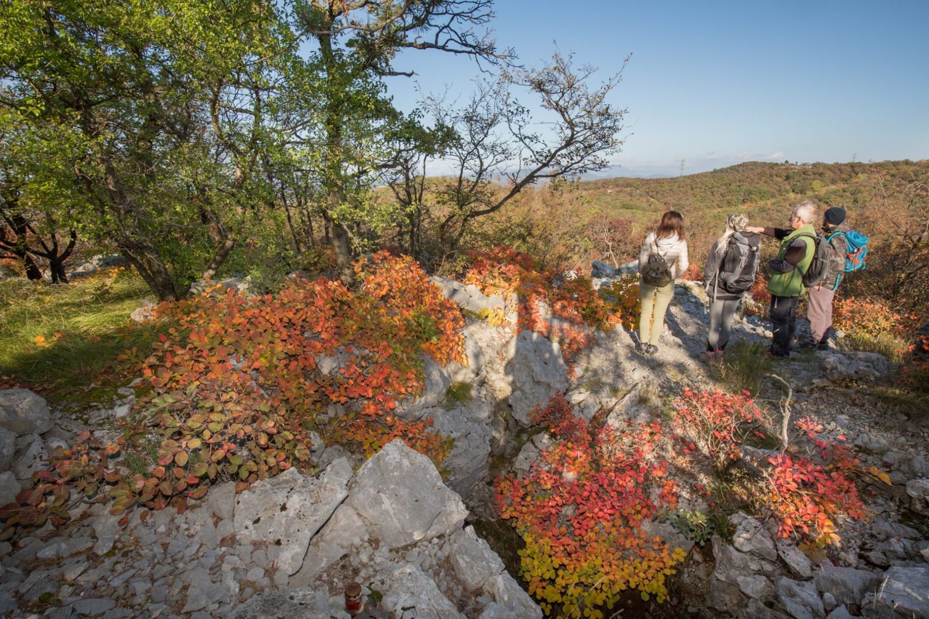 Monte-Ermada-Paolo-da-Pozzo-PromoTurismoFVG